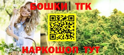 гидропоника Будённовск