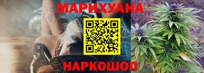 гидропоника Будённовск