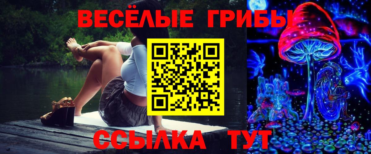 Урюпинск  Псилоцибиновые грибы прущие грибы  Вход с VPN  Галлюциногенные грибы GOLDEN TEACHER 