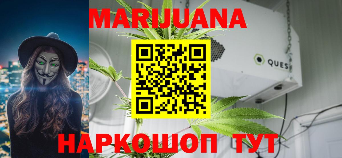 Бошки Шишки сатива Урюпинск